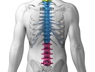 A dor lumbar é un síntoma de enfermidades da columna vertebral